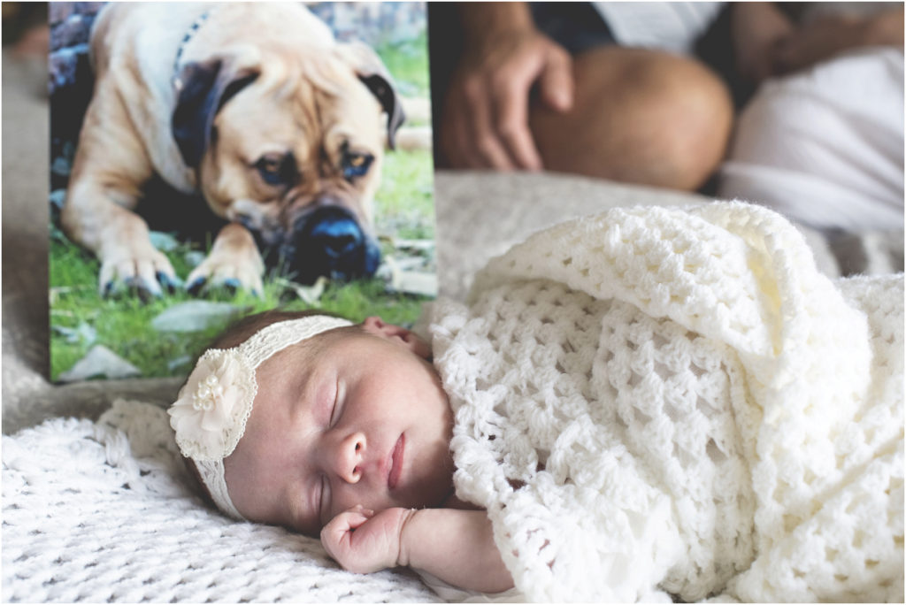 Angie Duncan Photography, Camden Newborn Photography