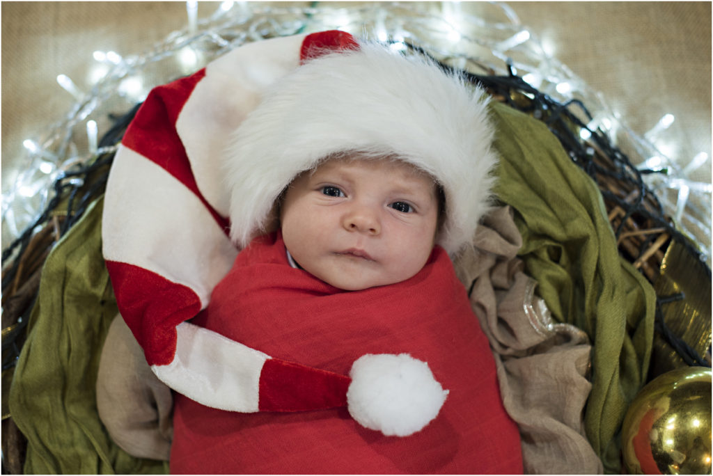 Camden Newborn Photography, Macarthur Newborn Photography, Camden Family Photography, www.angieduncan.com.au
