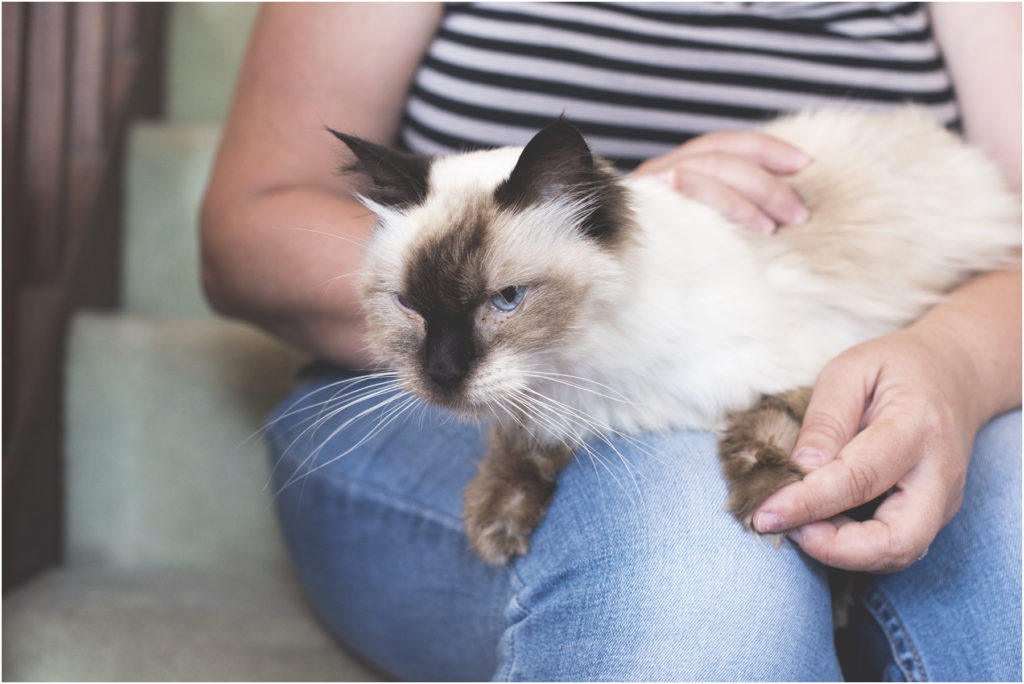 Angie Duncan Photography