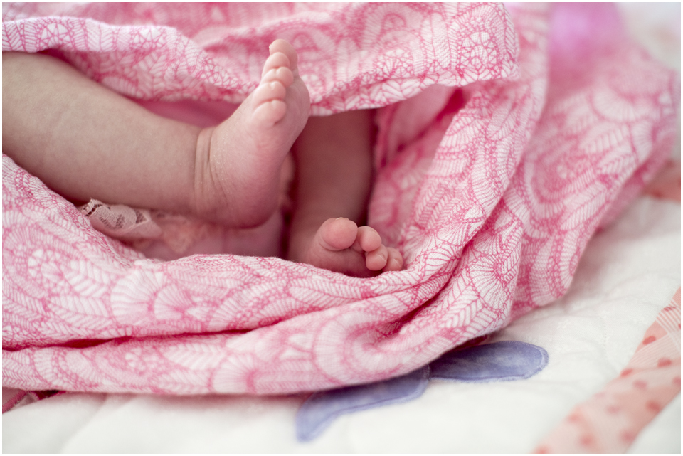 Camden Newborn Photographer, Camden Family Photographer, www.angieduncan.com.au