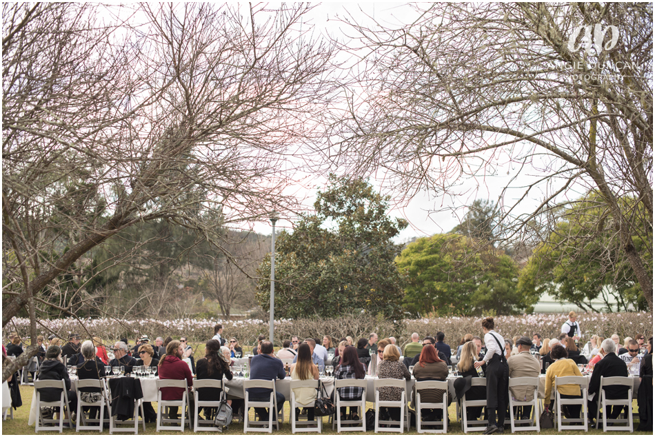 Camden Event Photography, Long Table Lunch, Angie Duncan Photography