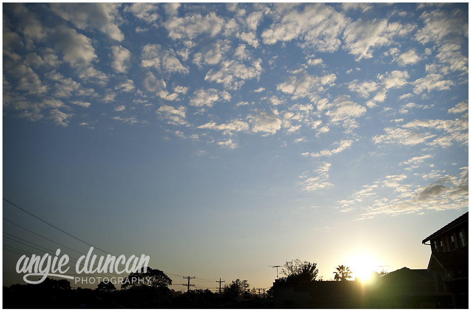 Angie Duncan Photography