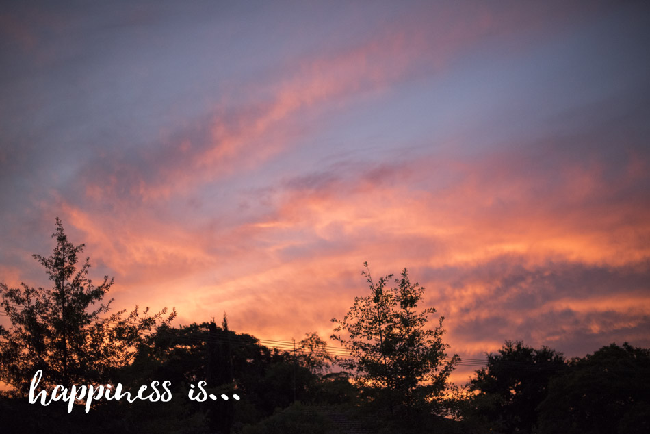 happiness_is-1