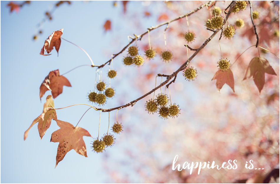 Angie Duncan Photography