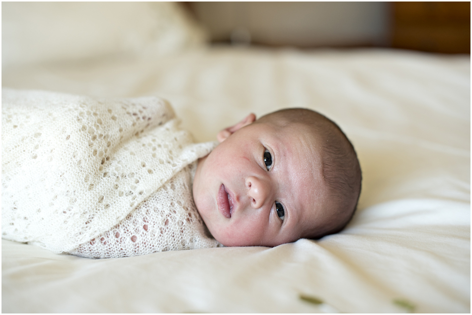 Camden Newborn Photographer, Camden Family Photographer, www.angieduncan.com.au